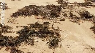 16 thatclosefriend onlyfans