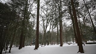 Answered Prayers: The Actor 2015