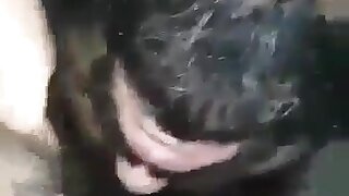 A very hairy asshole is tongue fucked