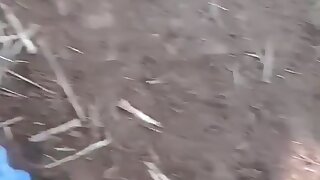 Giving a mouth to the boss out in the farm