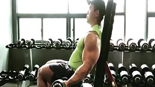 HAA: Huge Asian Arms