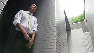 nhб»±t bб»•n asia GMS454