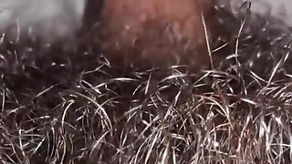 Indian Pubic Hair Up Close