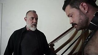 O Sogr&atilde;o Ensina